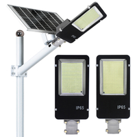 ອຸດສາຫະກໍາ 500W 1500W Split Solar Street Light